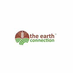 The Earth Connections